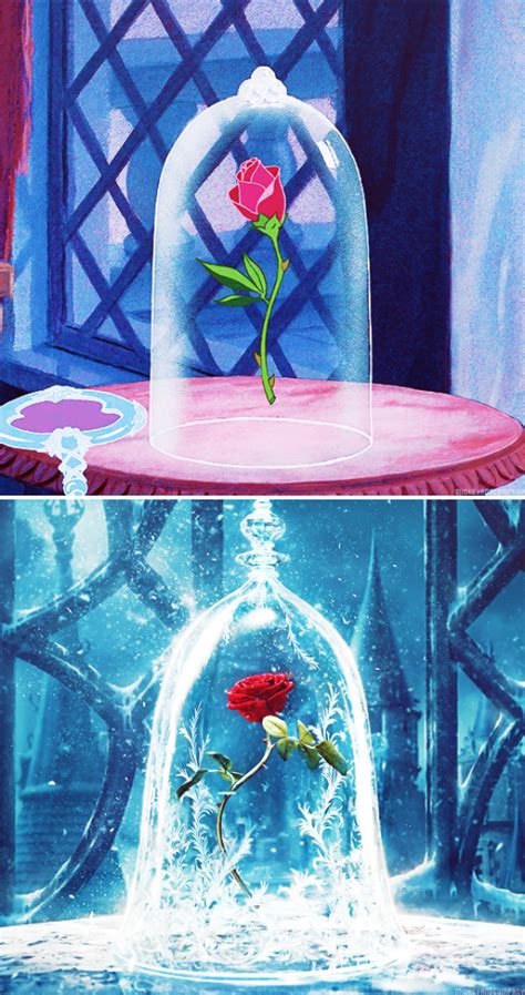The Petal's Spell: Embracing the Magic of the Fairy Curse in a Rose
